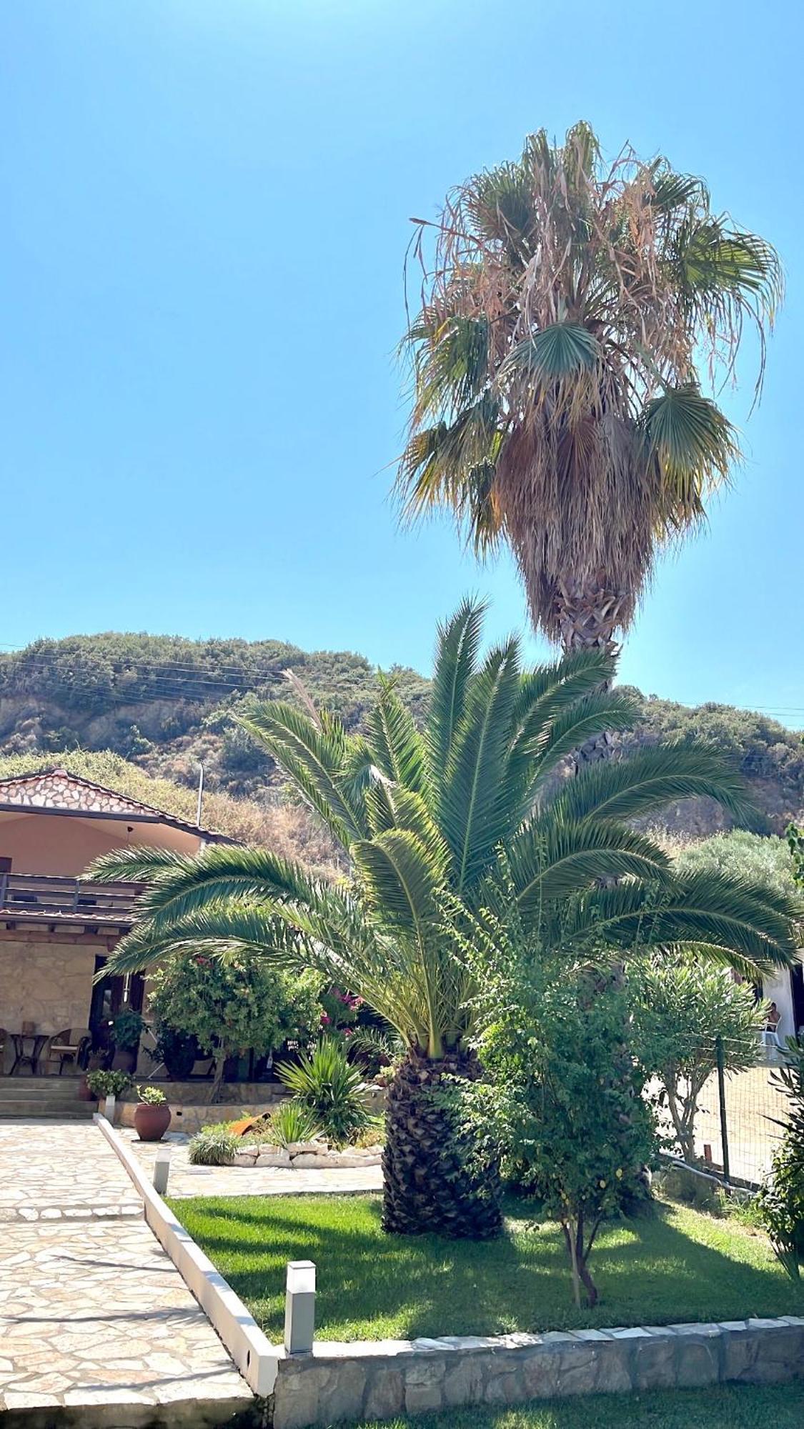 Palma Beach House Сарти Екстериор снимка