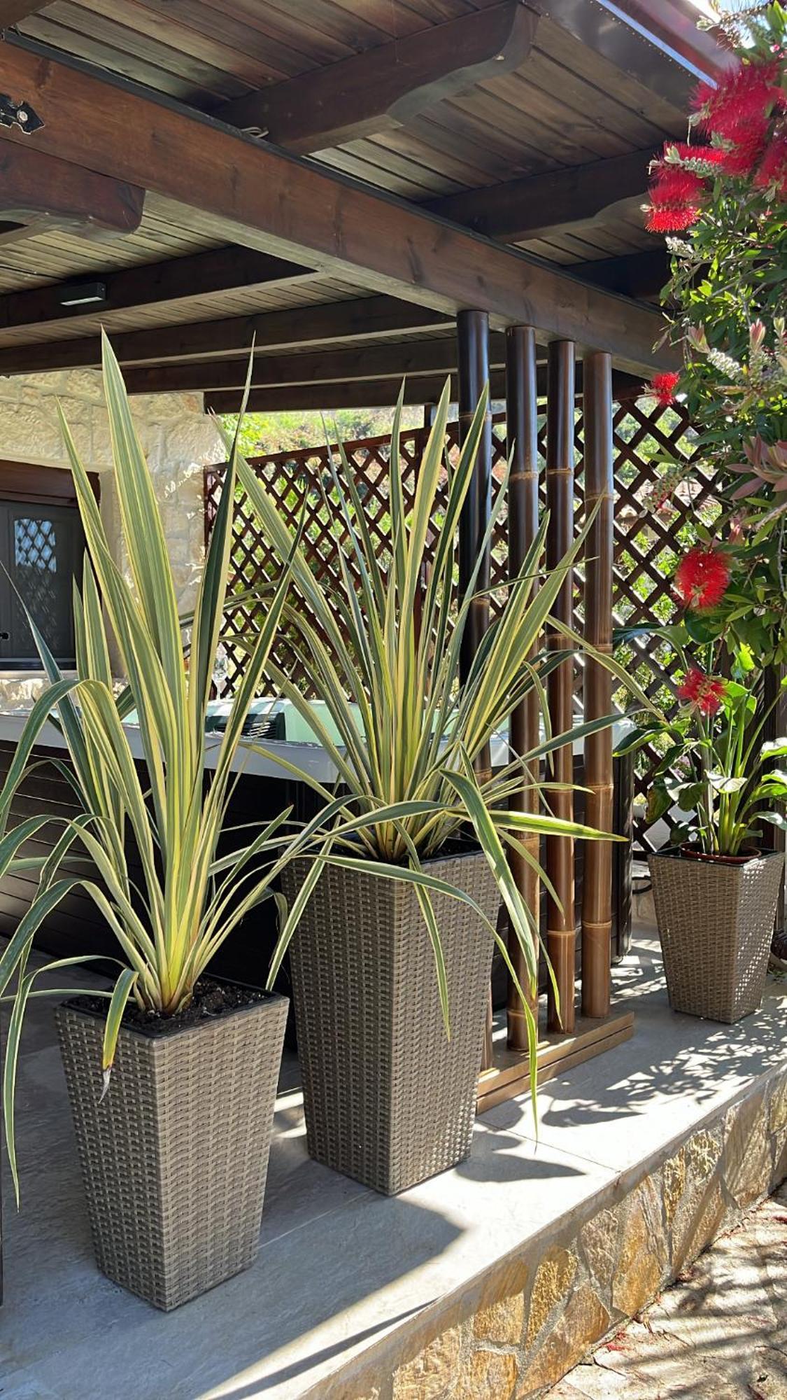 Palma Beach House Сарти Екстериор снимка